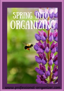 Spring into Organizing - Ellen's Blog, Professional Organizing for ...